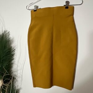 Burnt Orange Bodycon Midi Skirt